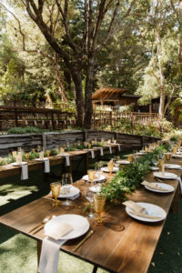 Table settings with glasses, plates, and silverware in a wooded area with trees and grass.